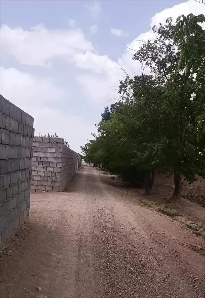 باغ کوچک با درختان آجیلی قیمت مناسب