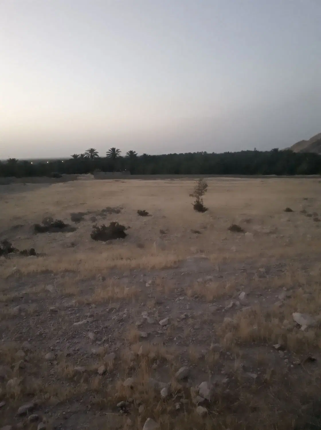 فروش زمین