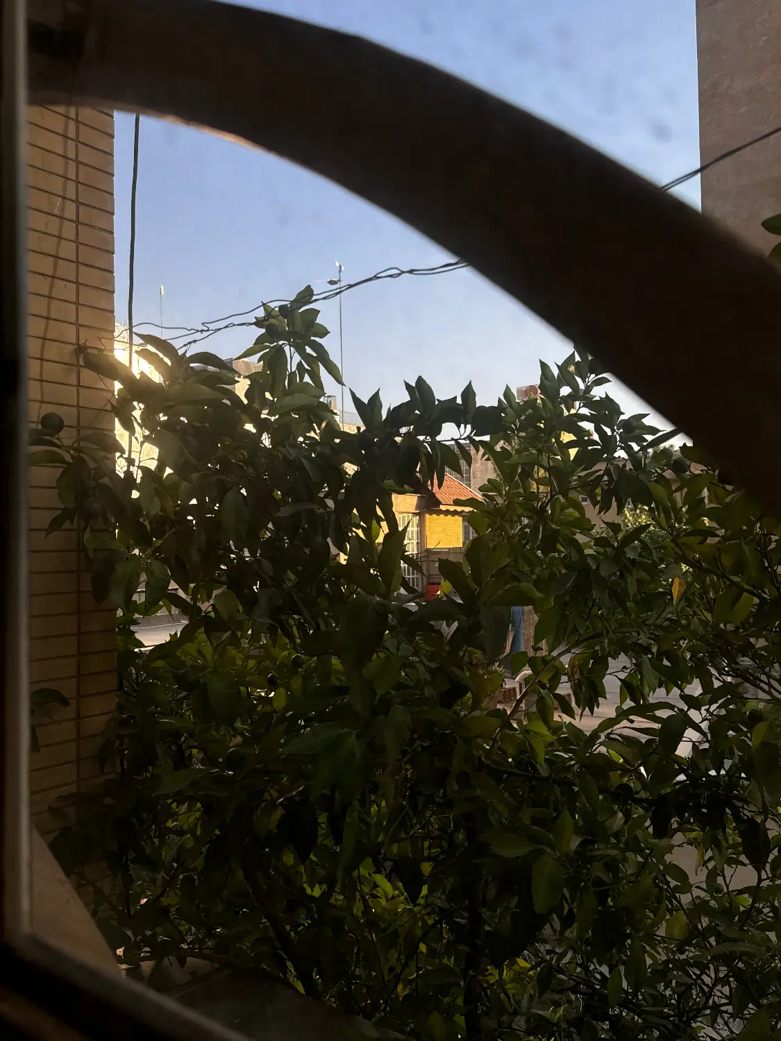 ۲۵۰ متر _ نیایش _ فرصت استثنایی