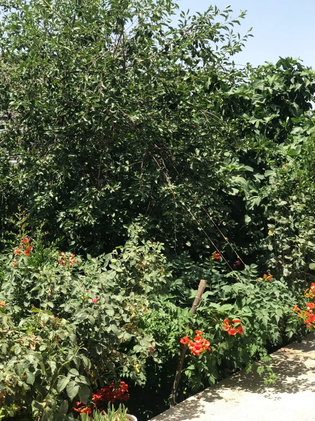 خانه ویلا