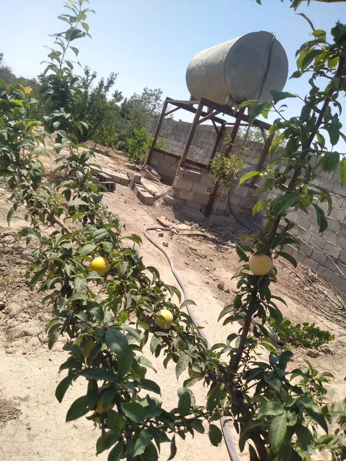 باغچه ۵۰۰ متری نقد و معاوضه با خوردو