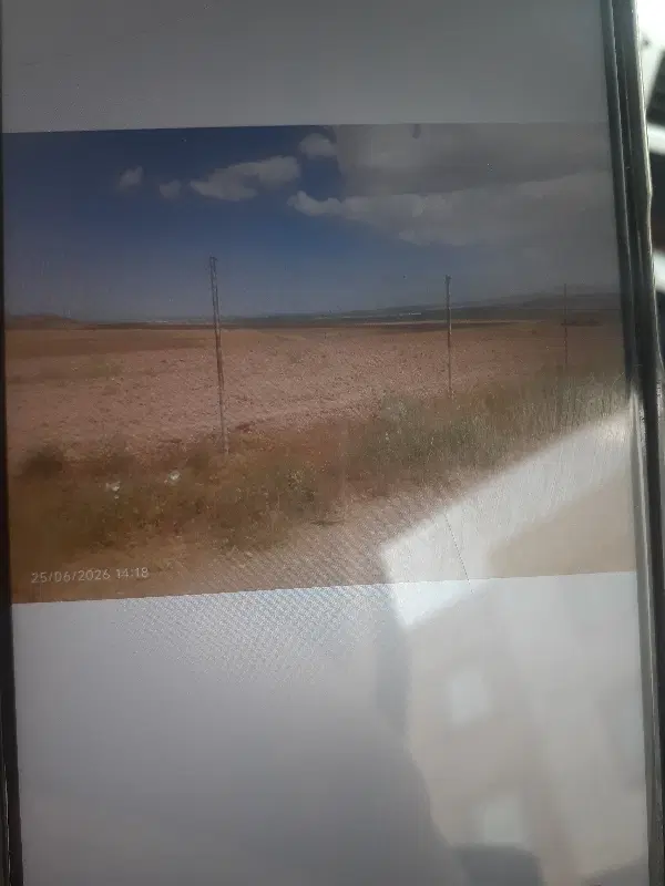 باغشهر شقایق زرنان