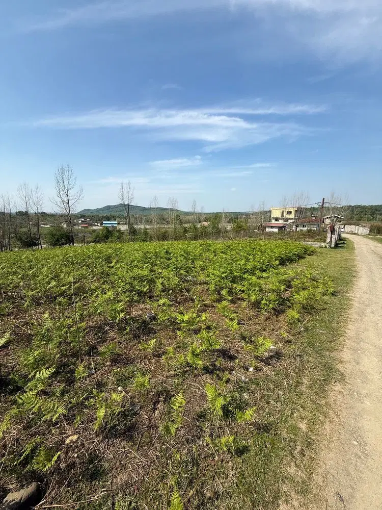 فروش زمین مسکونی در روستای زیبای چماچا