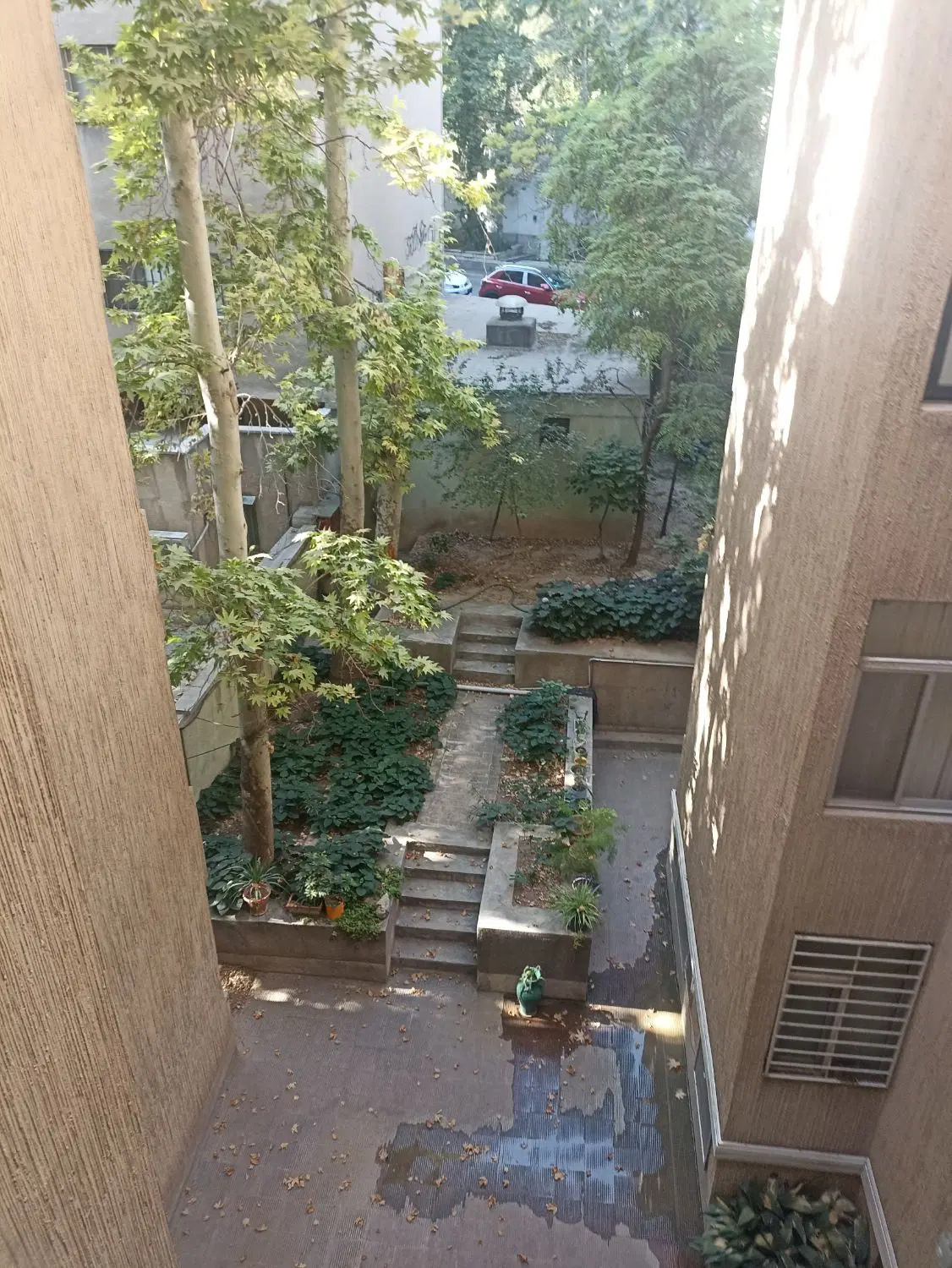 همخونه مجردی