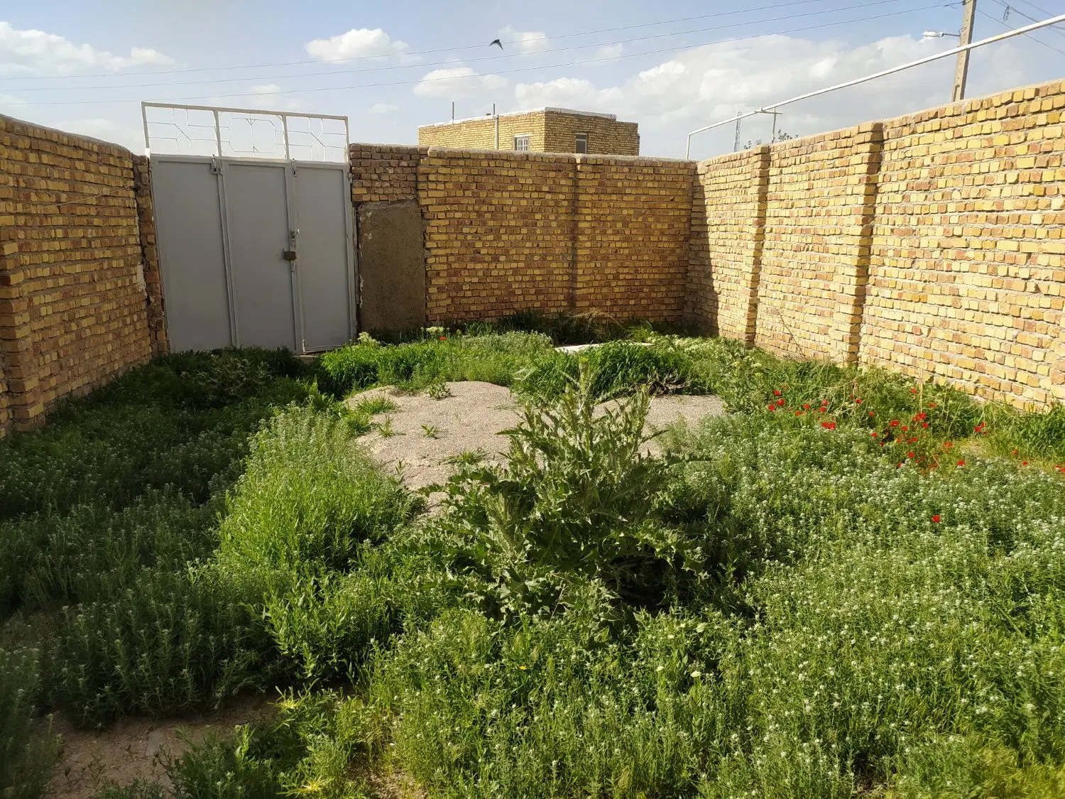 خانه ویلایی