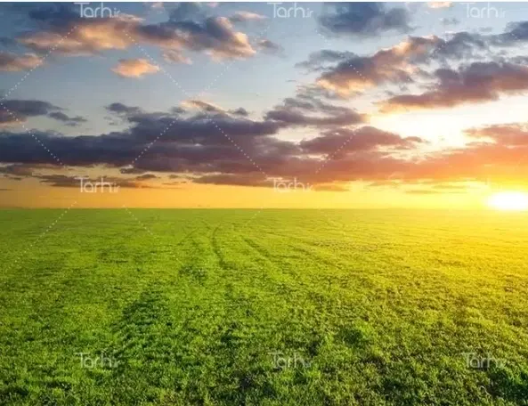 فروش زمین باغی
