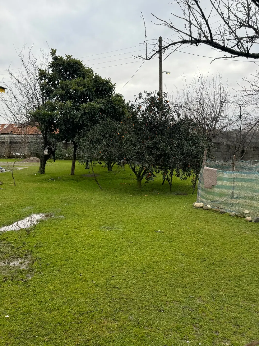 زمین مسکونی ۱۵۰متر قروق