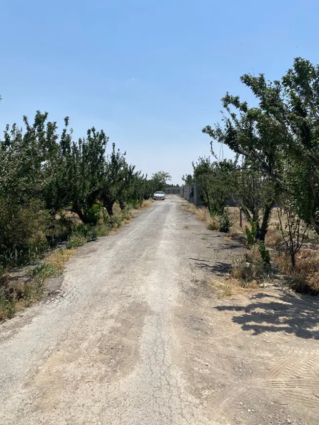 فروش ۲۰۰متر باغ سند تکبرگ