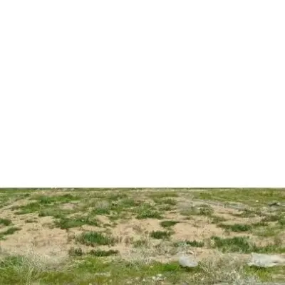 زمین برای باغ و ویلا