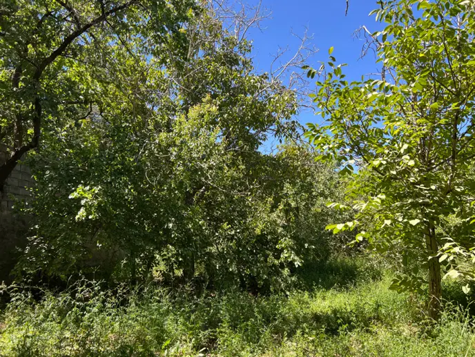 باغ۸۰۰مترسنددارچهاردیواری آب قنات ساخت ویلای لوکس