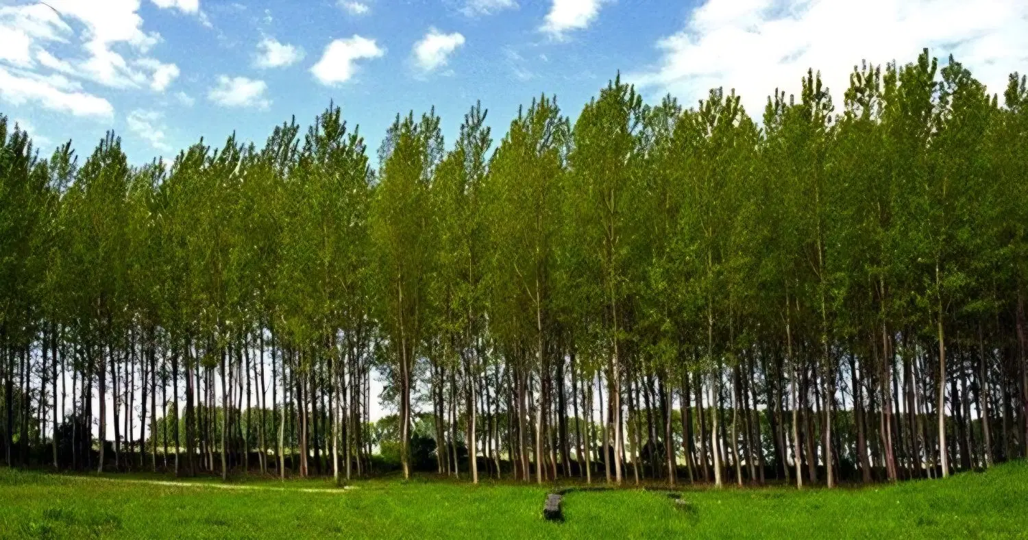زمین مسکونی سند دار