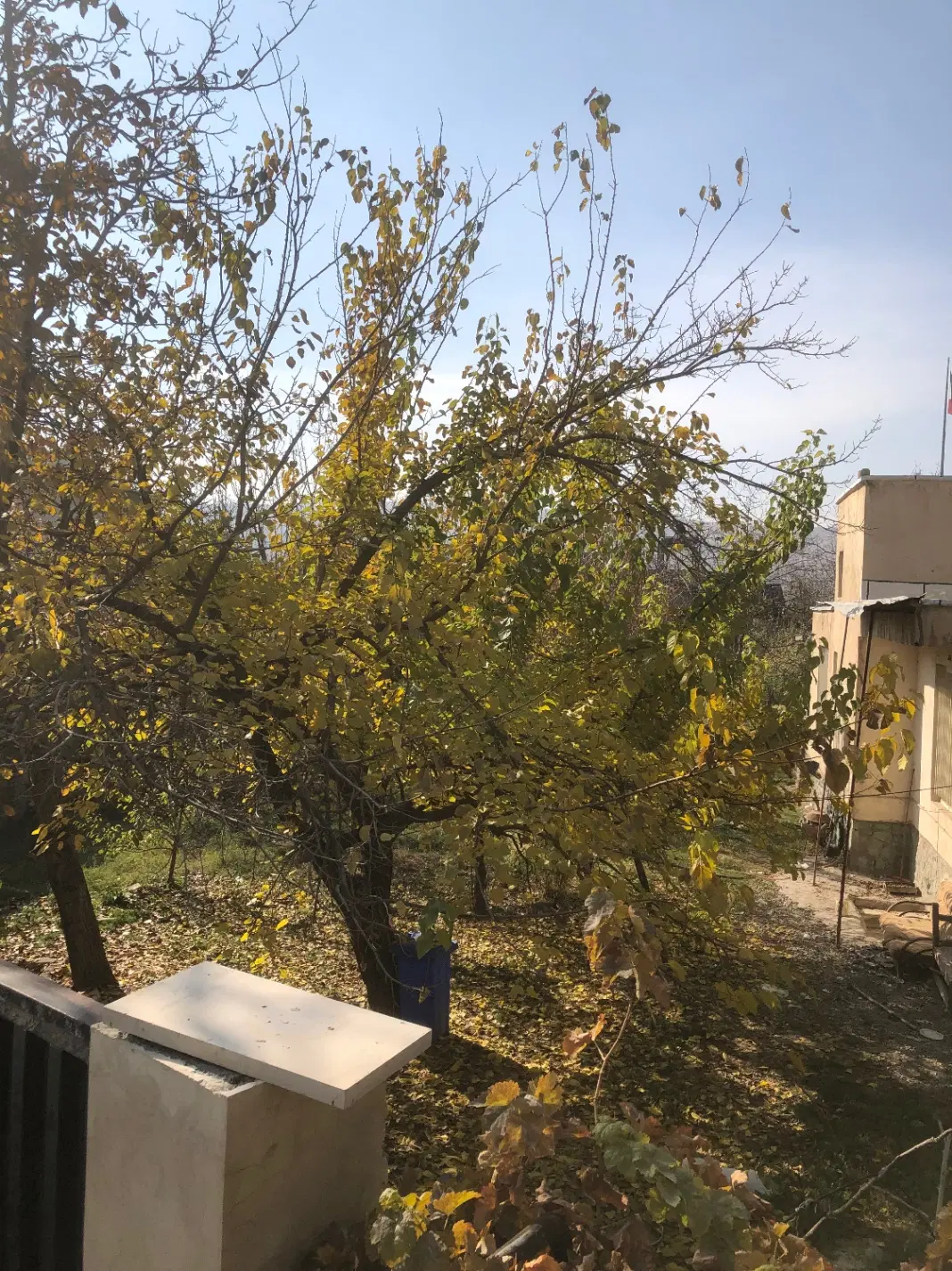 ۲۰۰ متر زمین لواسان