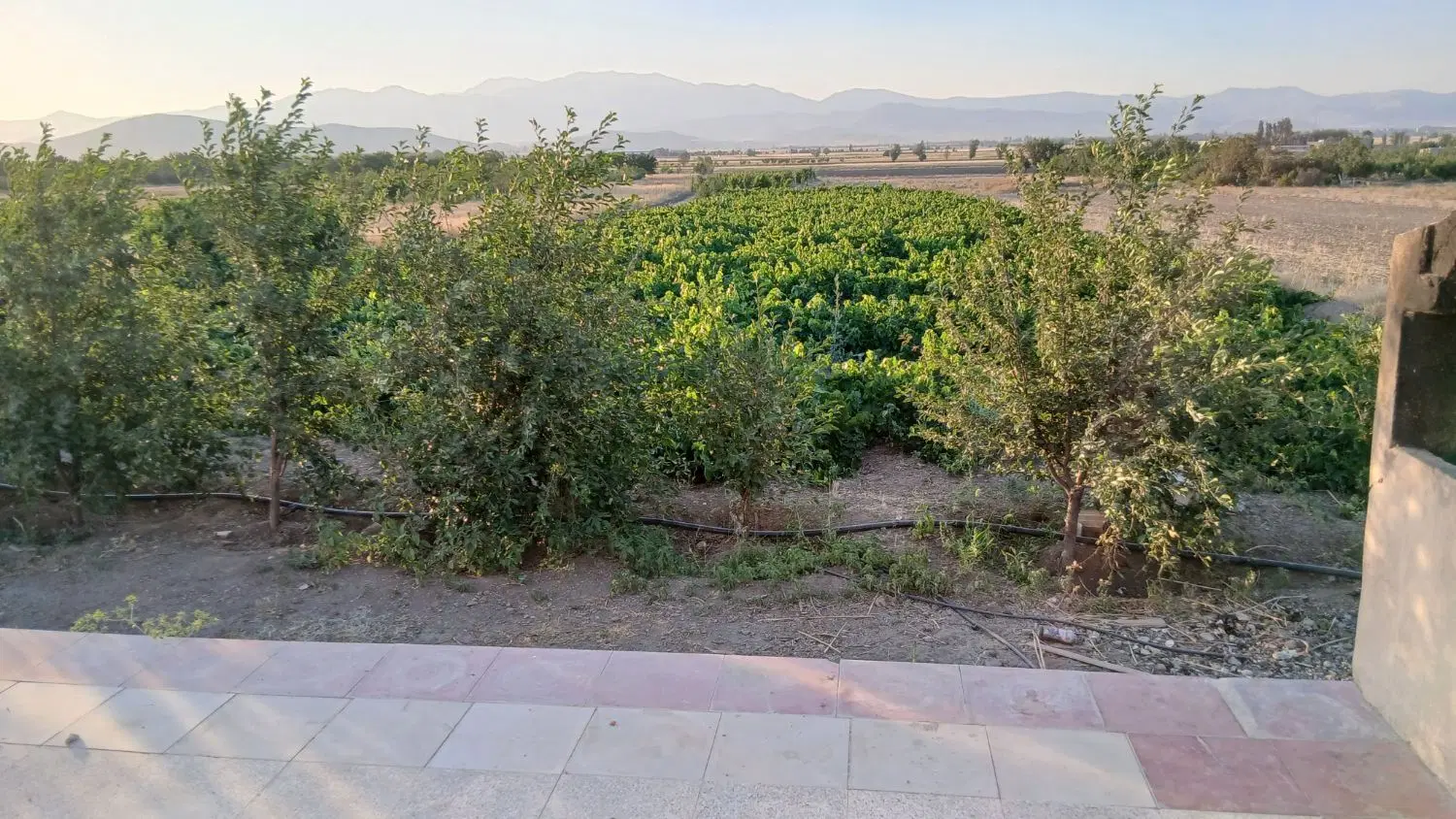 فروش باغ افسریه (گلشیر)