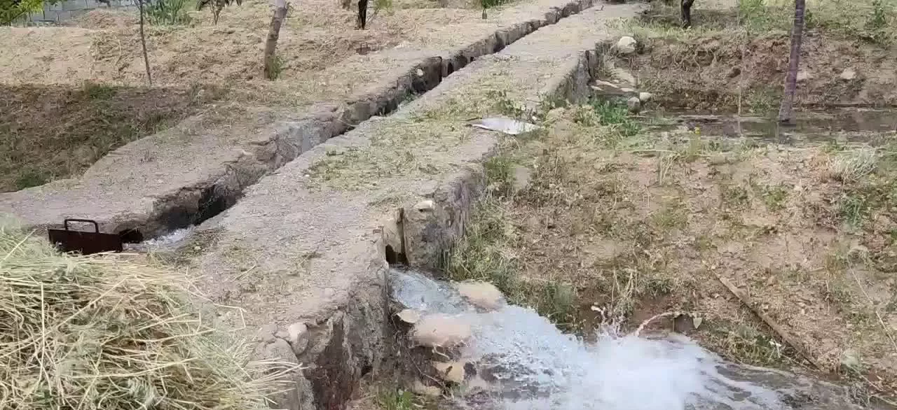 فروش ۵۰۰ متر مربع باغ در قوریگل سهند