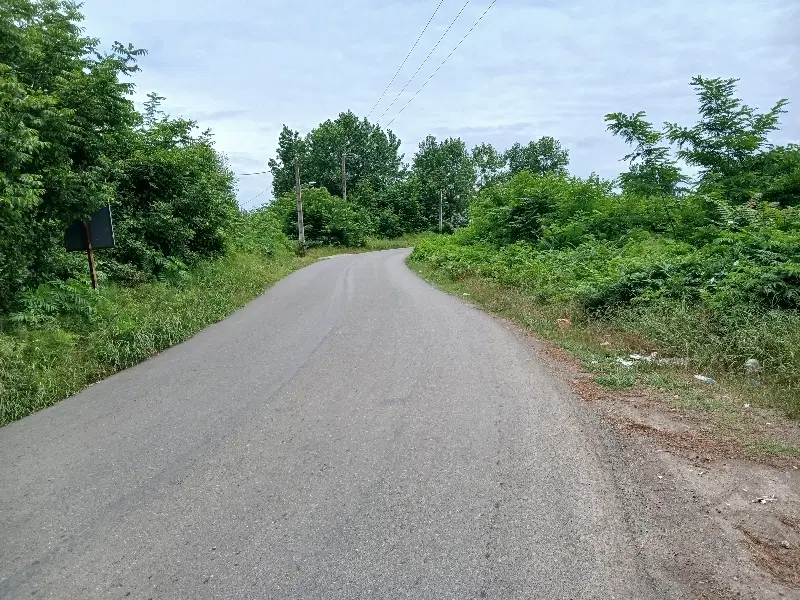 زمین