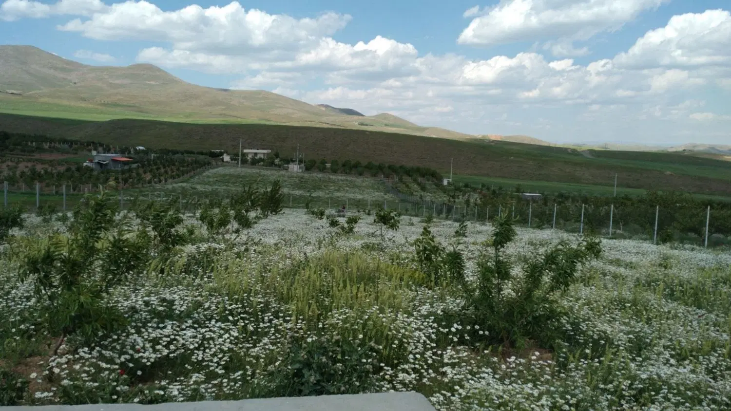 باغ ۳۰۰۰ متری