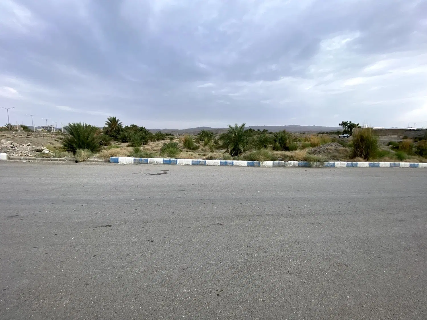 باغ نخل