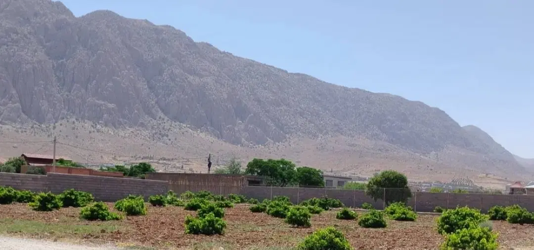 زمین باغی