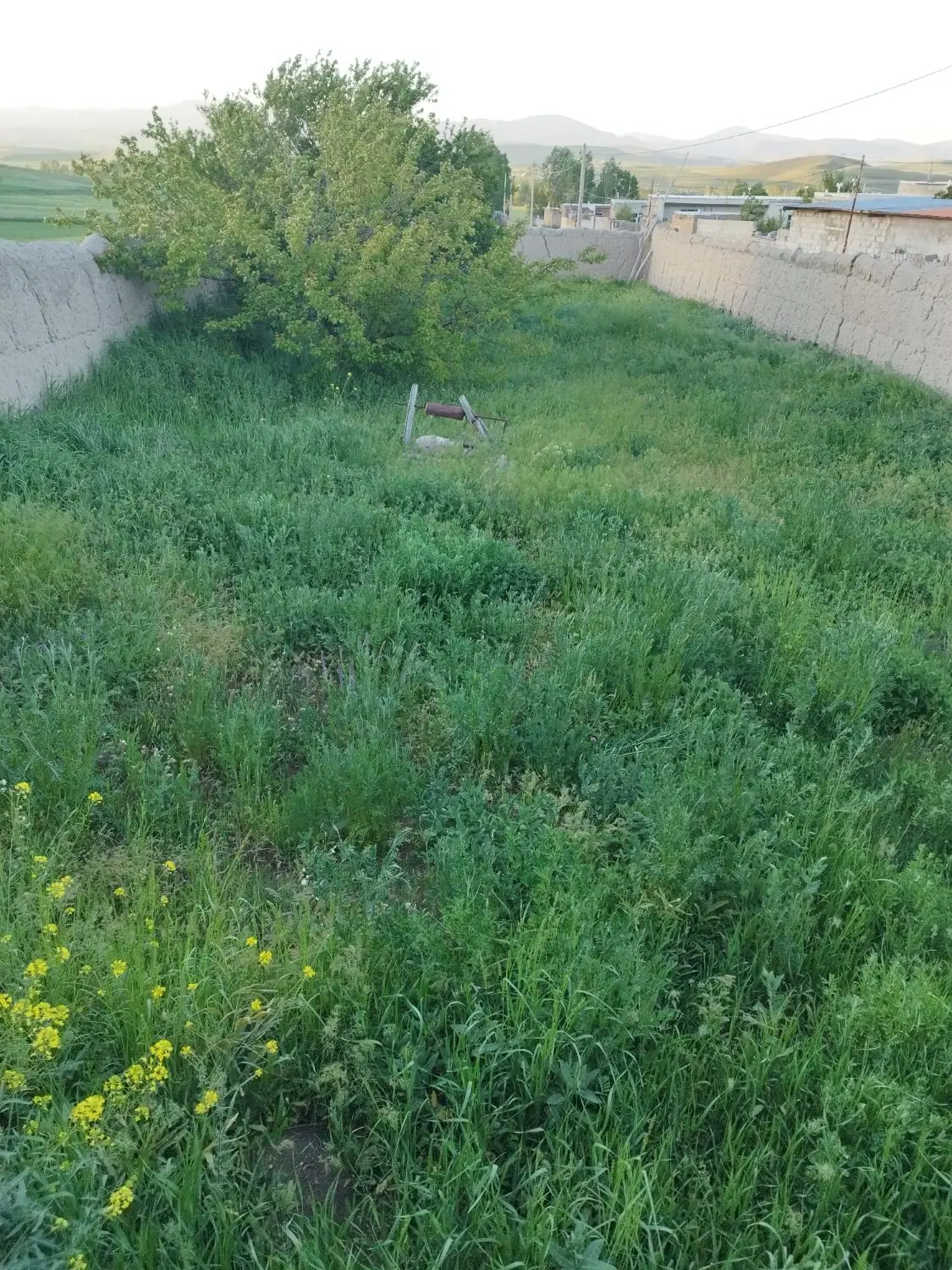 یک قطعه زمین(باغ) حصار شده