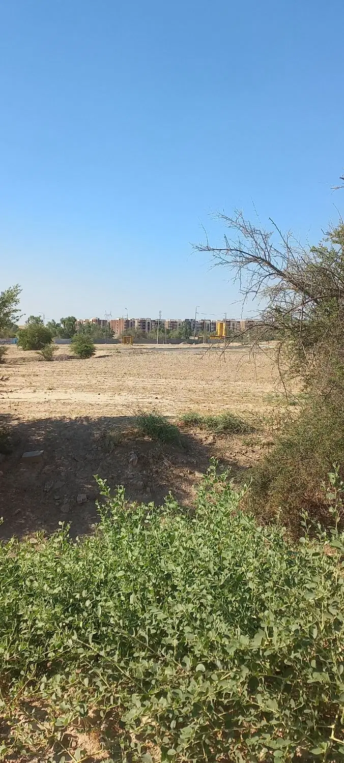 زمین باغچه