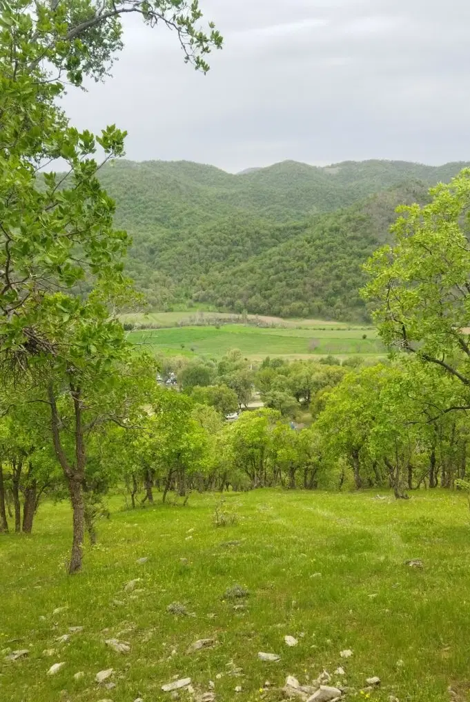 زمین برای باغ