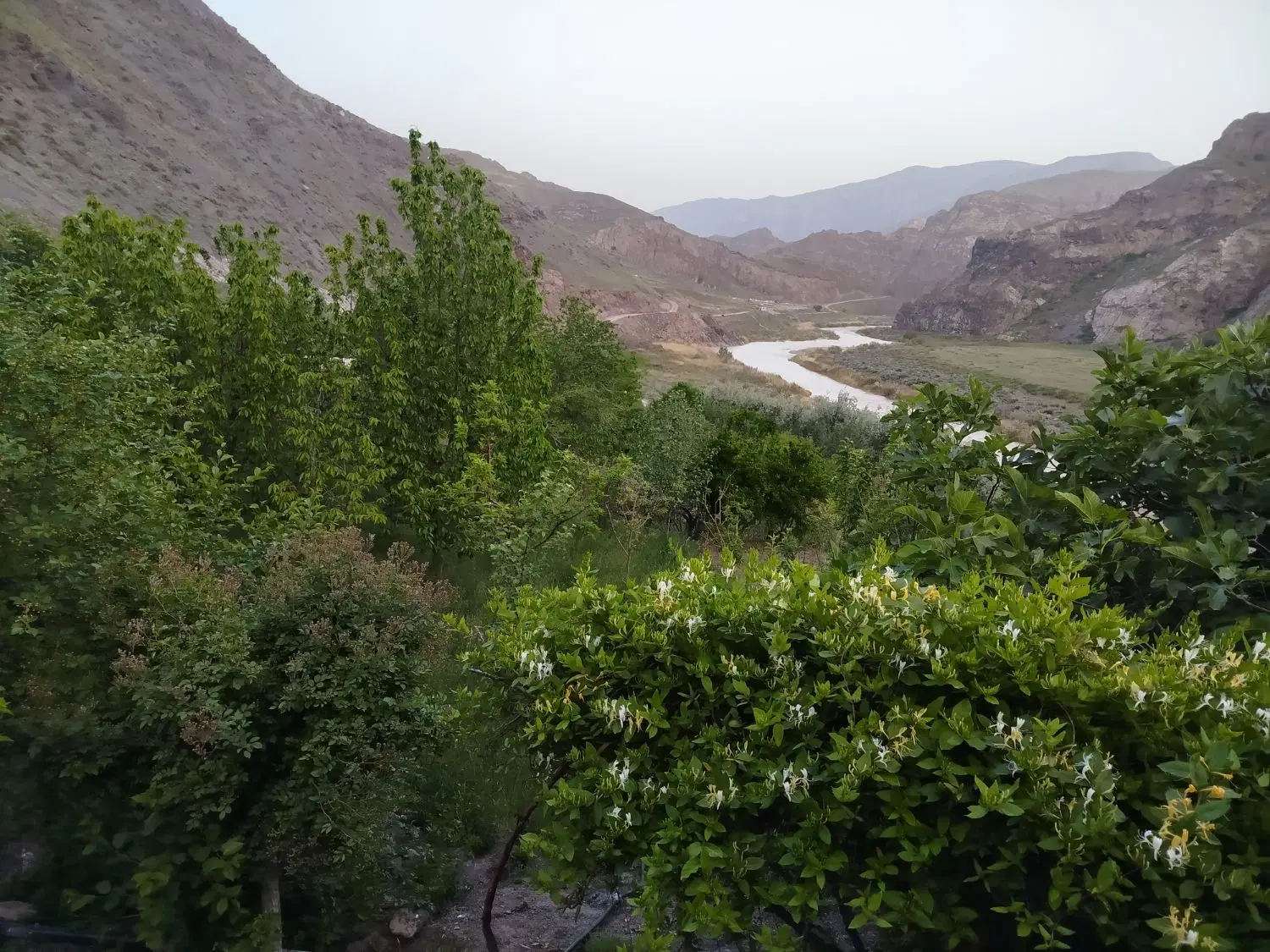 فروش یک قطعه باغ در روستای کوبلان