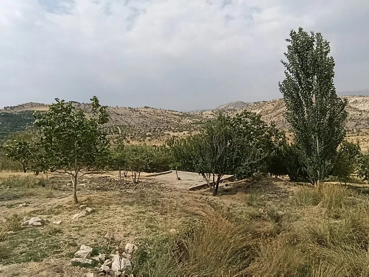 باغ وزگ