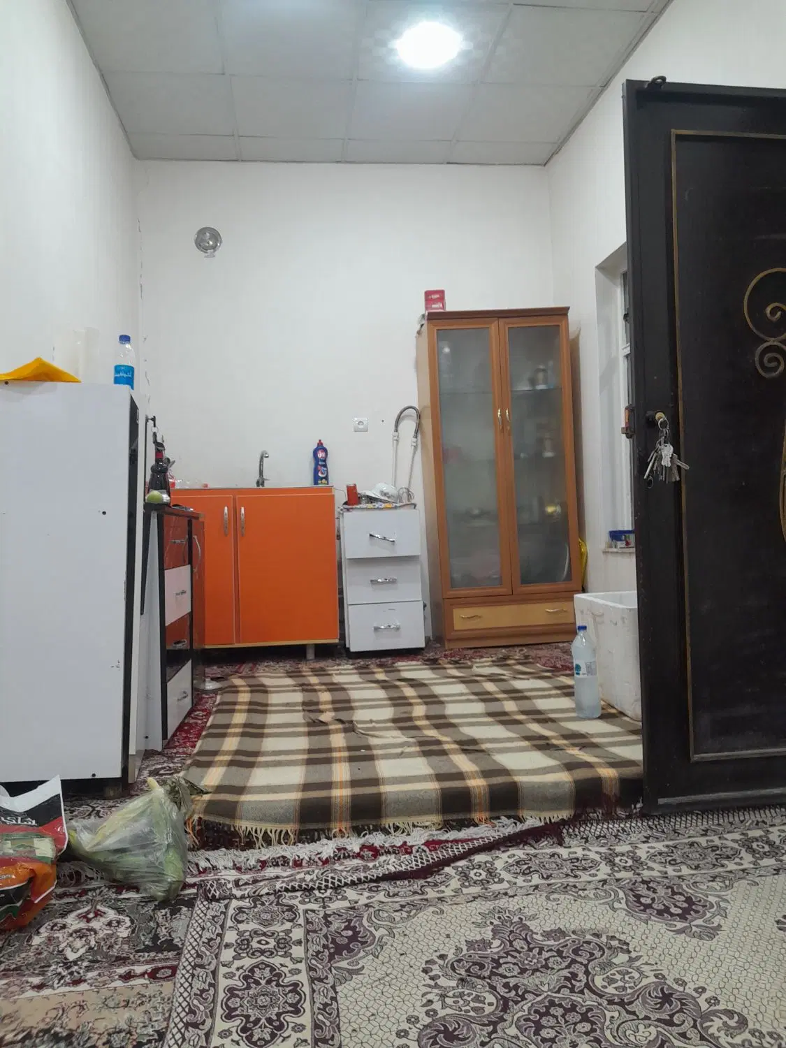 باغ ویلا