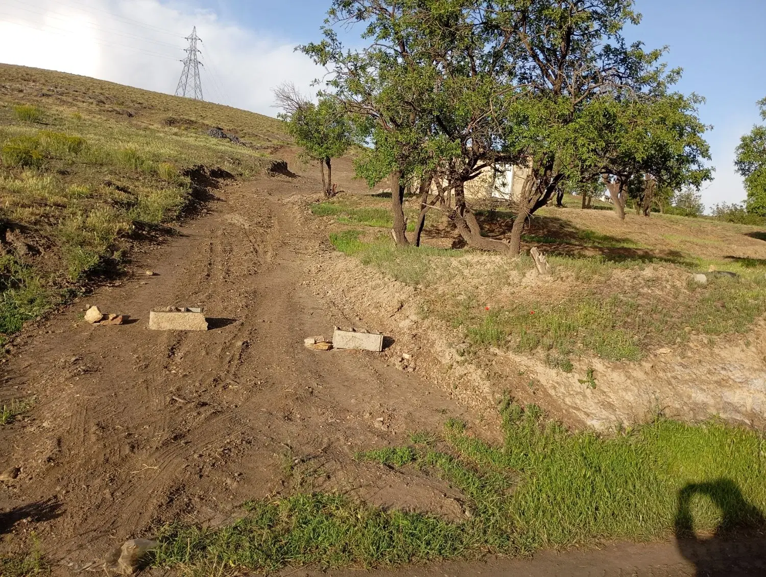باغ در روستای تفریجان