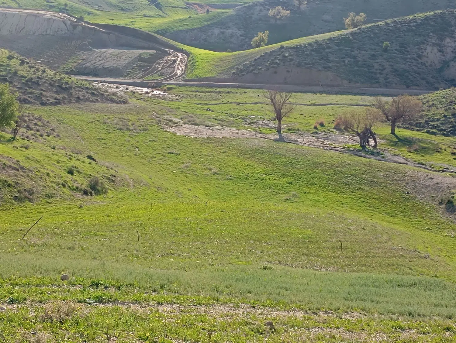 زمین برای خانه باغ