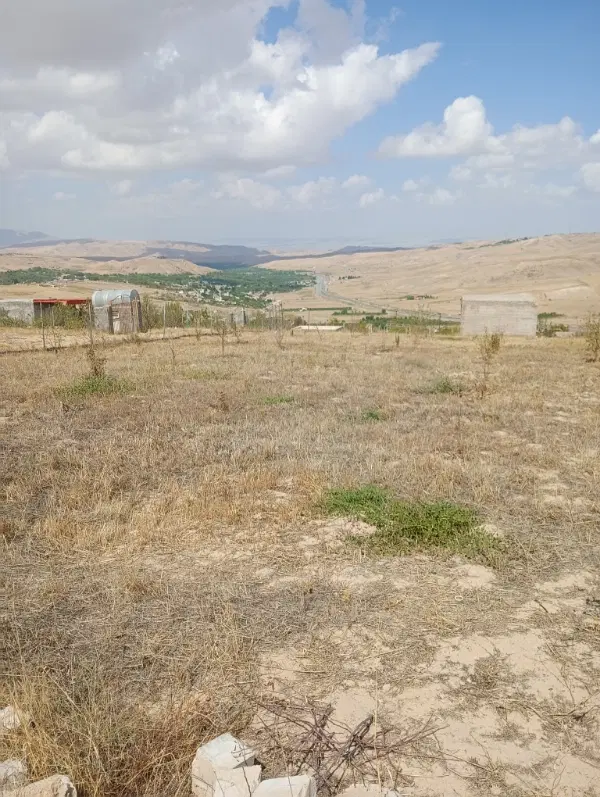 زمین خالصه