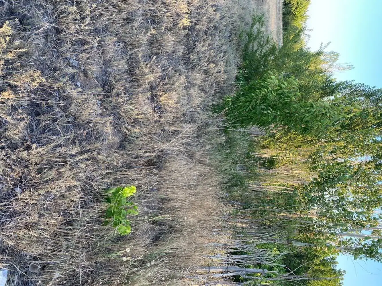 ۱۷۰۰ متر زمین چسبیده به اراک