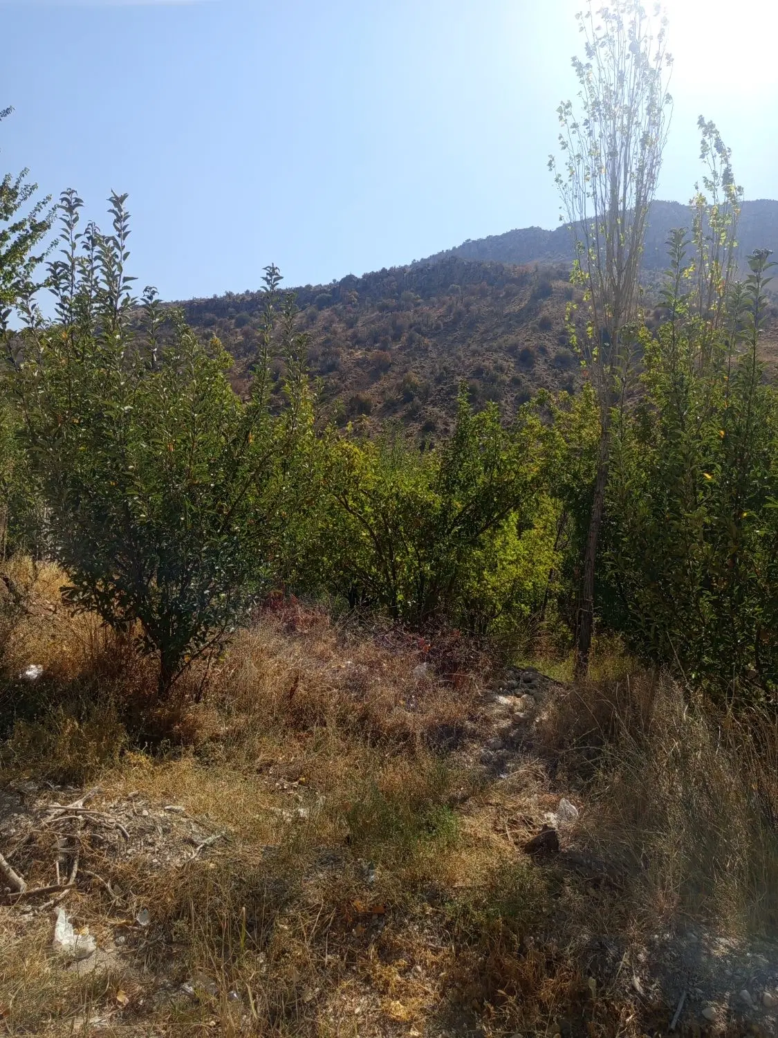 دارخوین سه راهی اصلی