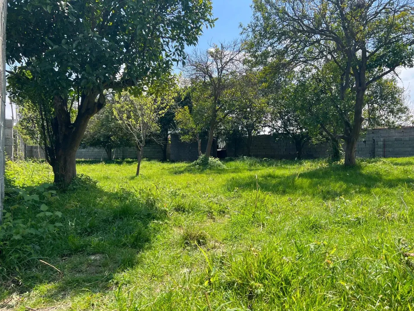 فرصت استثنایی برای خرید زمین در لوکیشن شهری