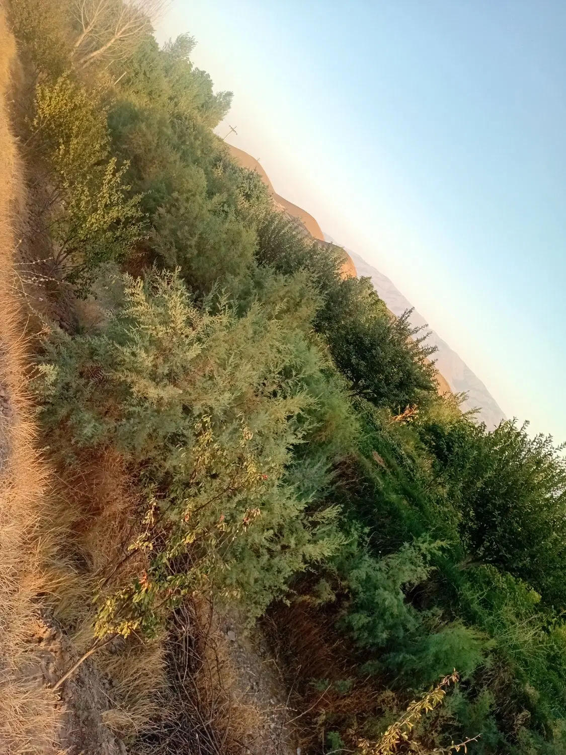باغ با منظره ای دلنشین