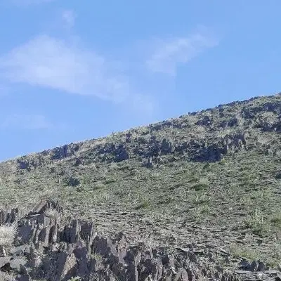 زمین مسکونی