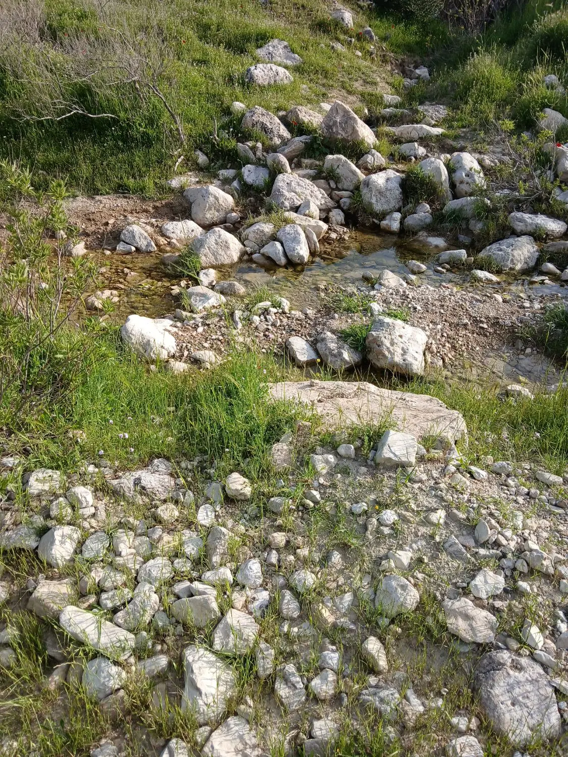 مزرعه جای جو
