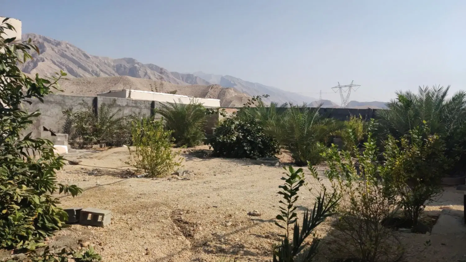 فروش زمین مسکونی کنگان