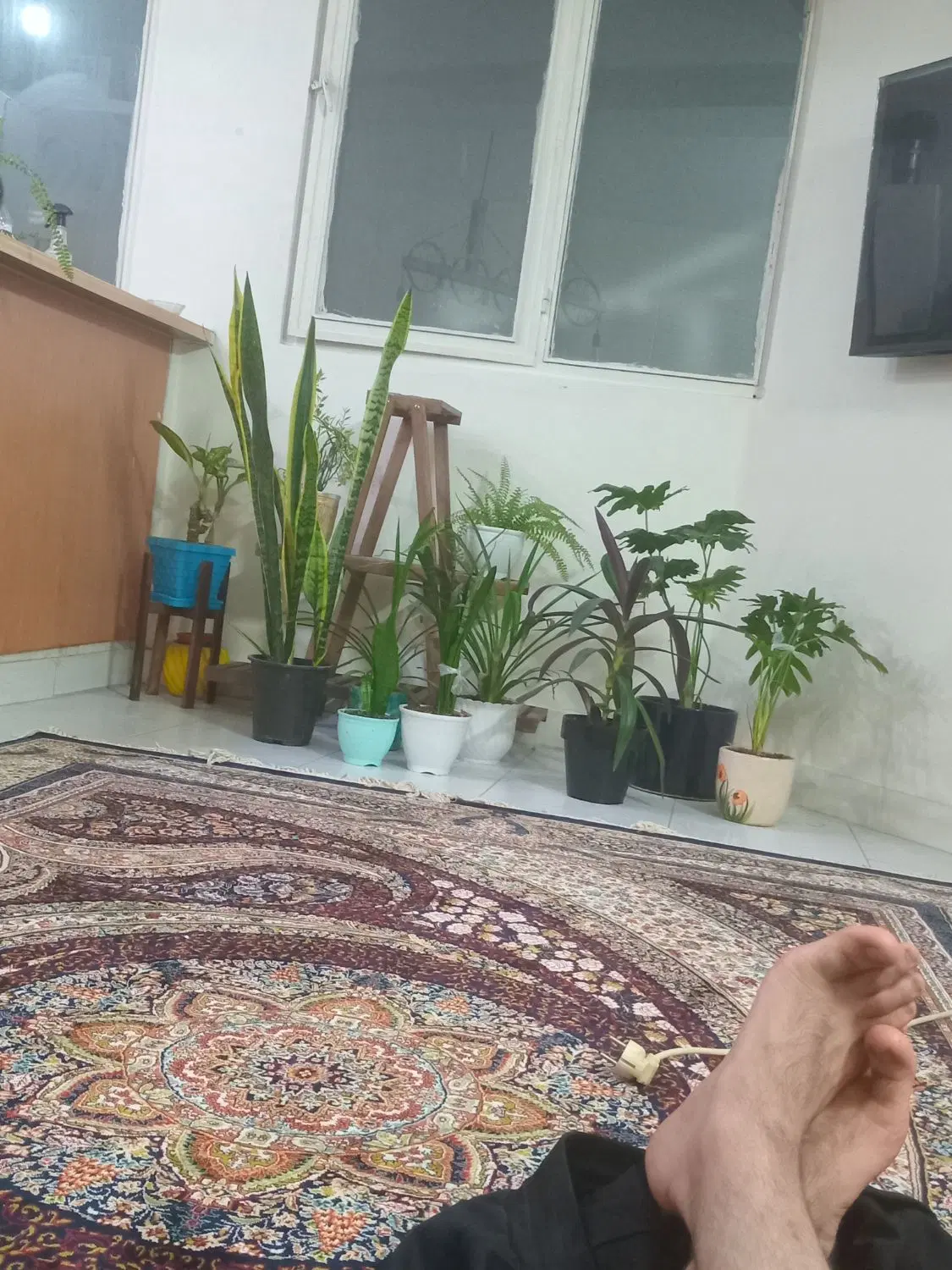 همخونه.همخانه