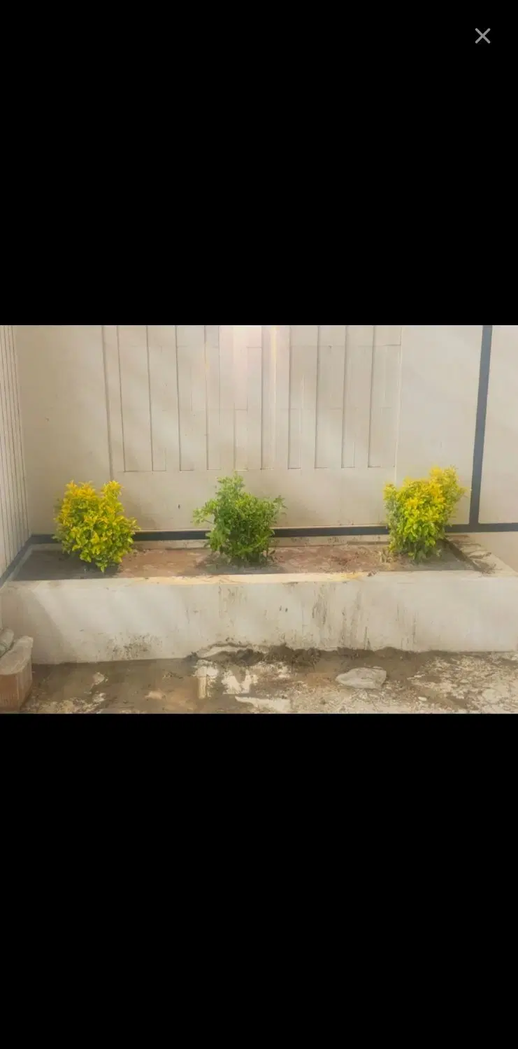 ۸ قصب زمین فاز ۲ زمین های بنیاد شهید داری پروانه