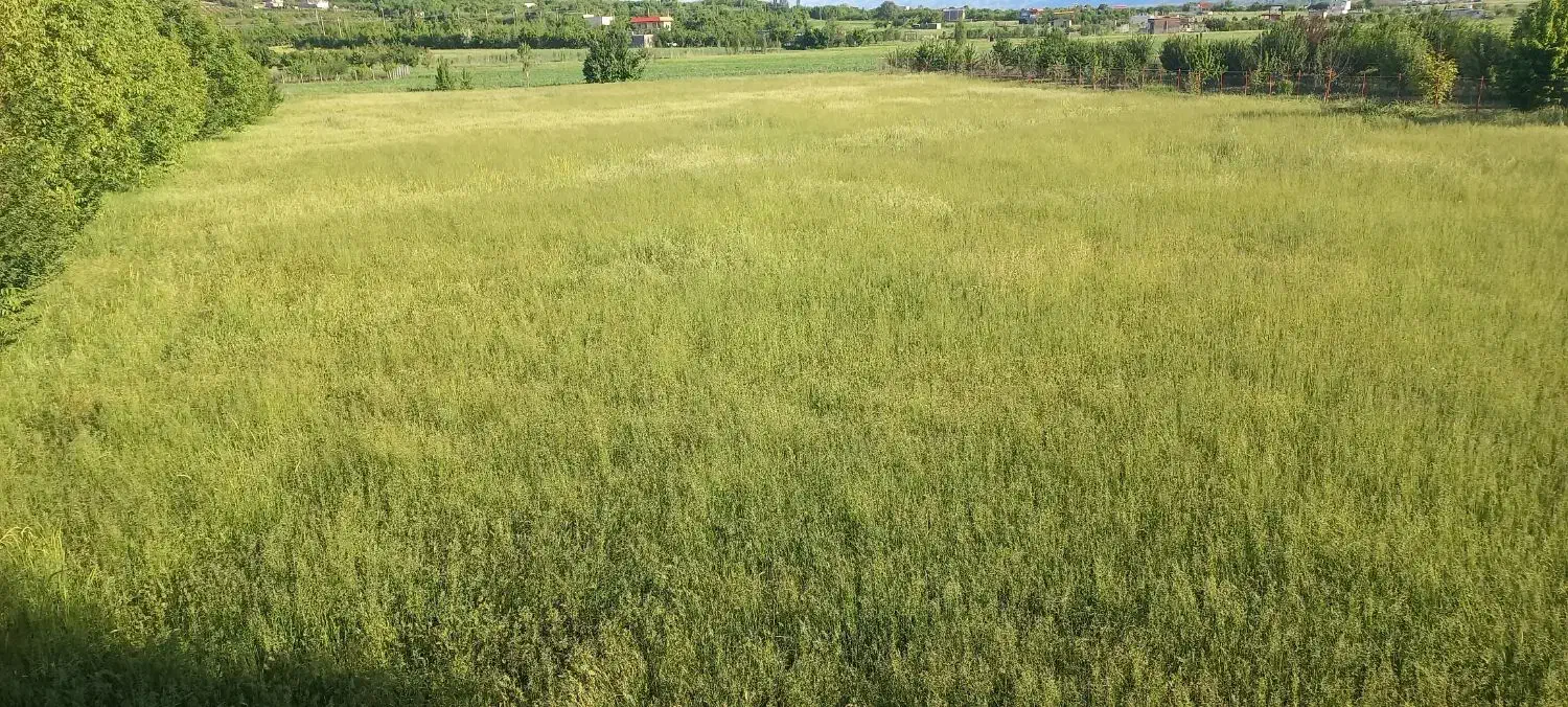 اجاره زمین کشاورزی یک هکتار