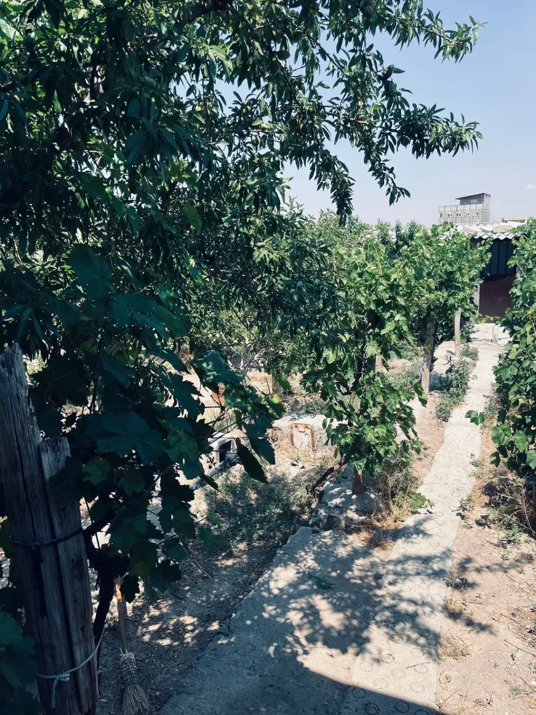 فروش باغ ویلا لاهیجان