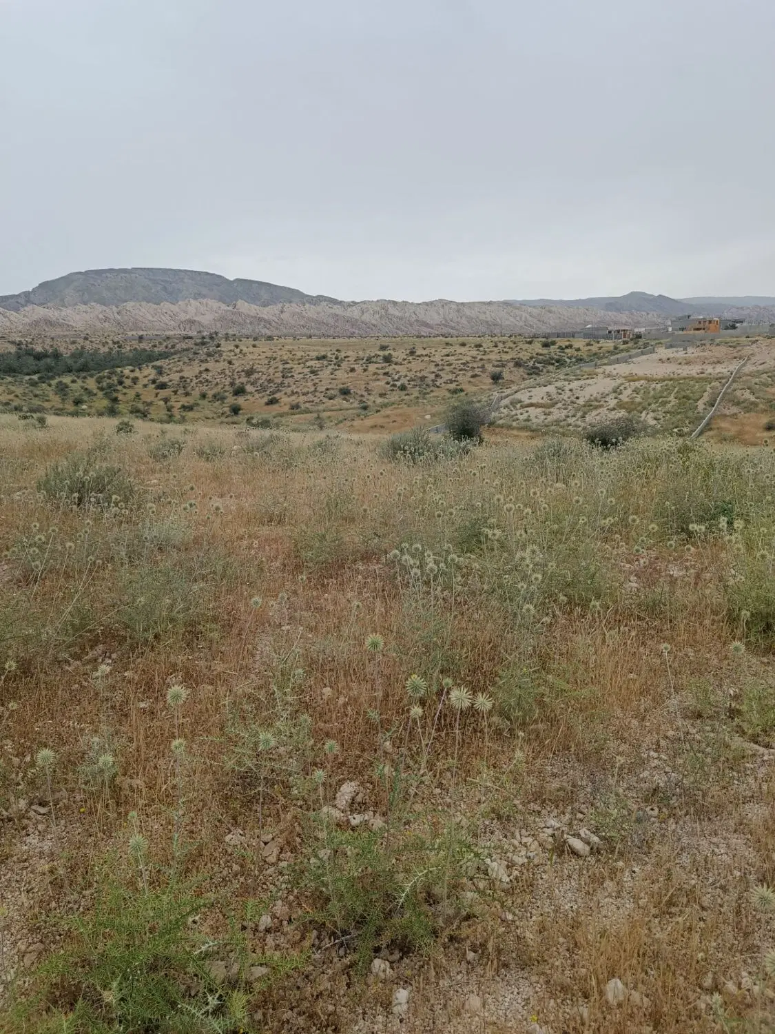 زمین مسکونی در بهارستان