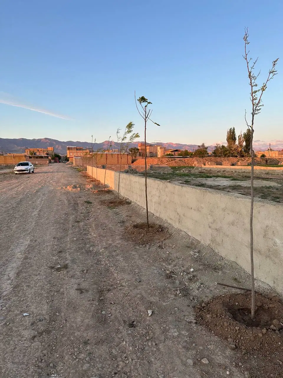 زمین چهاردیواری علی آباد