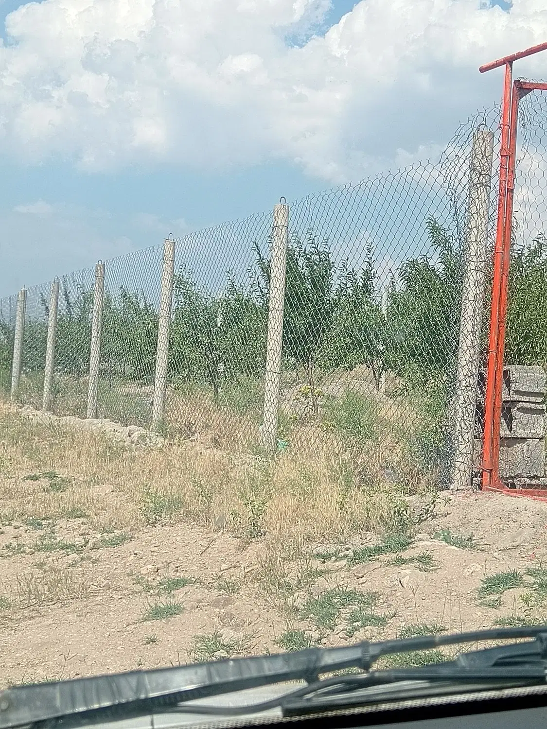 باغ بادام دیمی