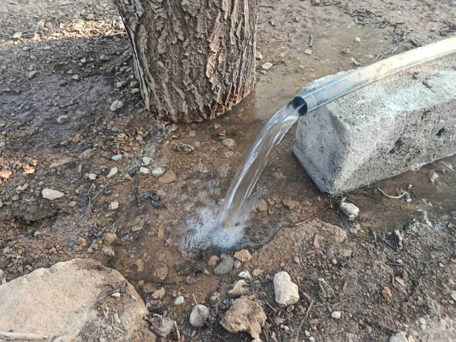 باغ 1300متری