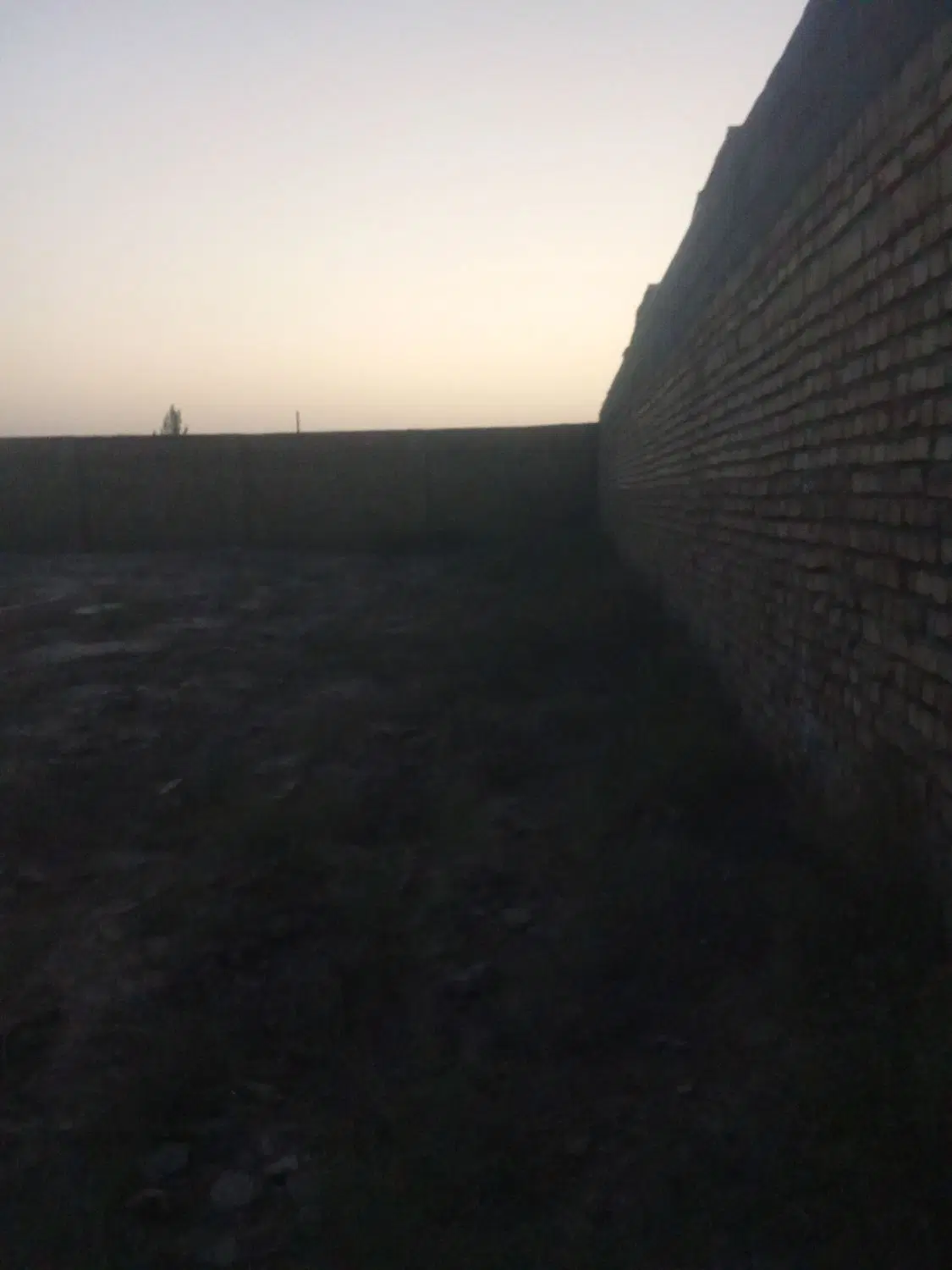 چهار دیواری باغ و باغچه