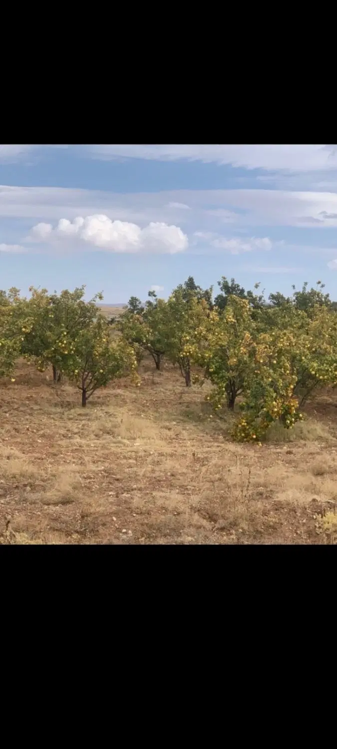 درود فروش باغچه کدیان بسمت قرهچمن