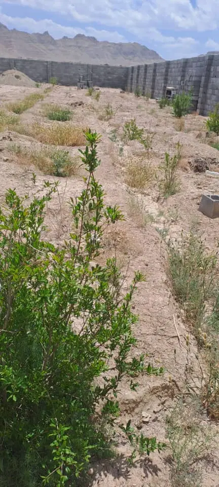 ۱۰۰۰متر چهار دیواری