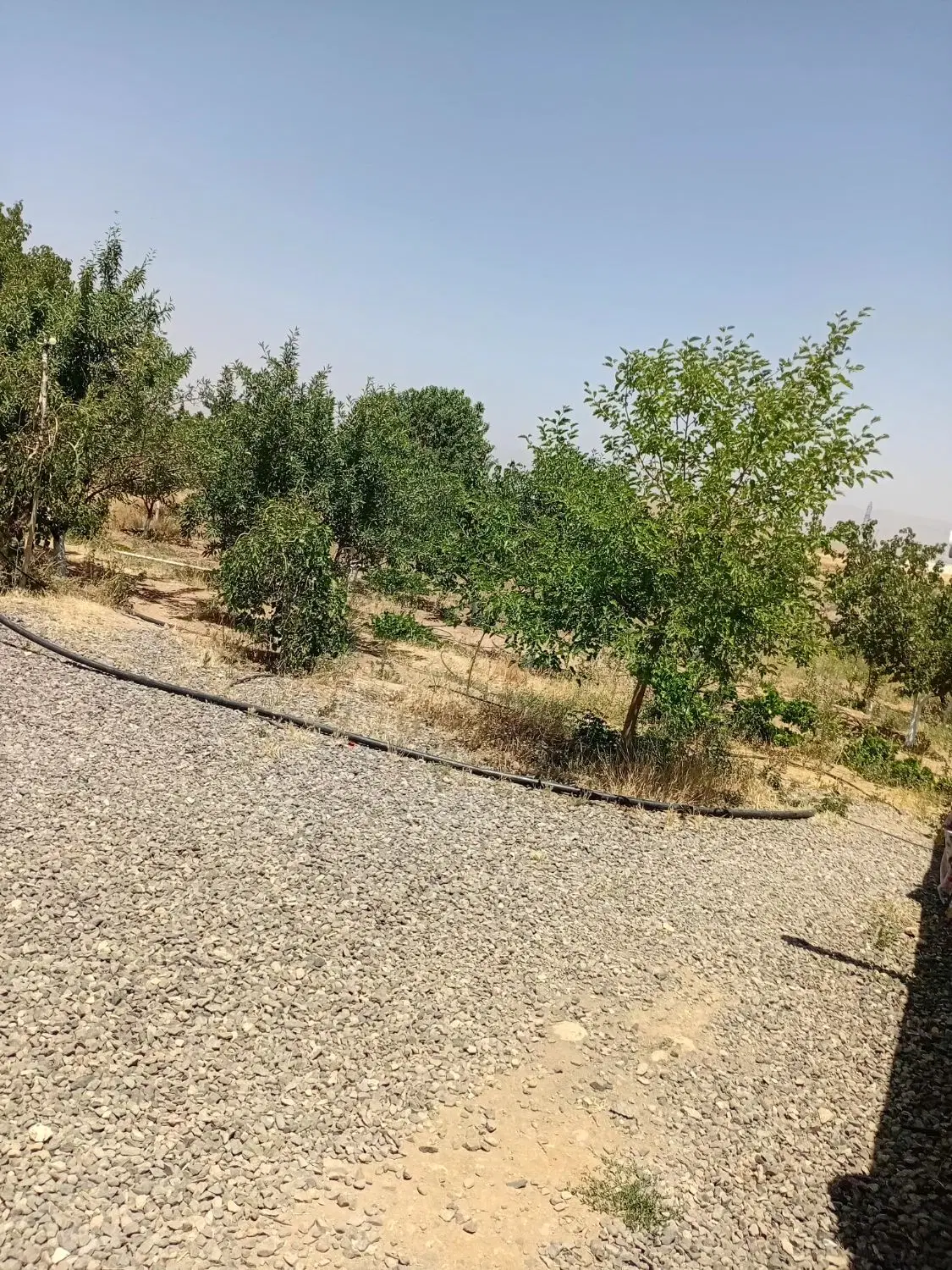 باغ روستای اژدهاتو